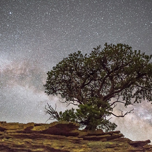 欧美日韩颜射小母狗
